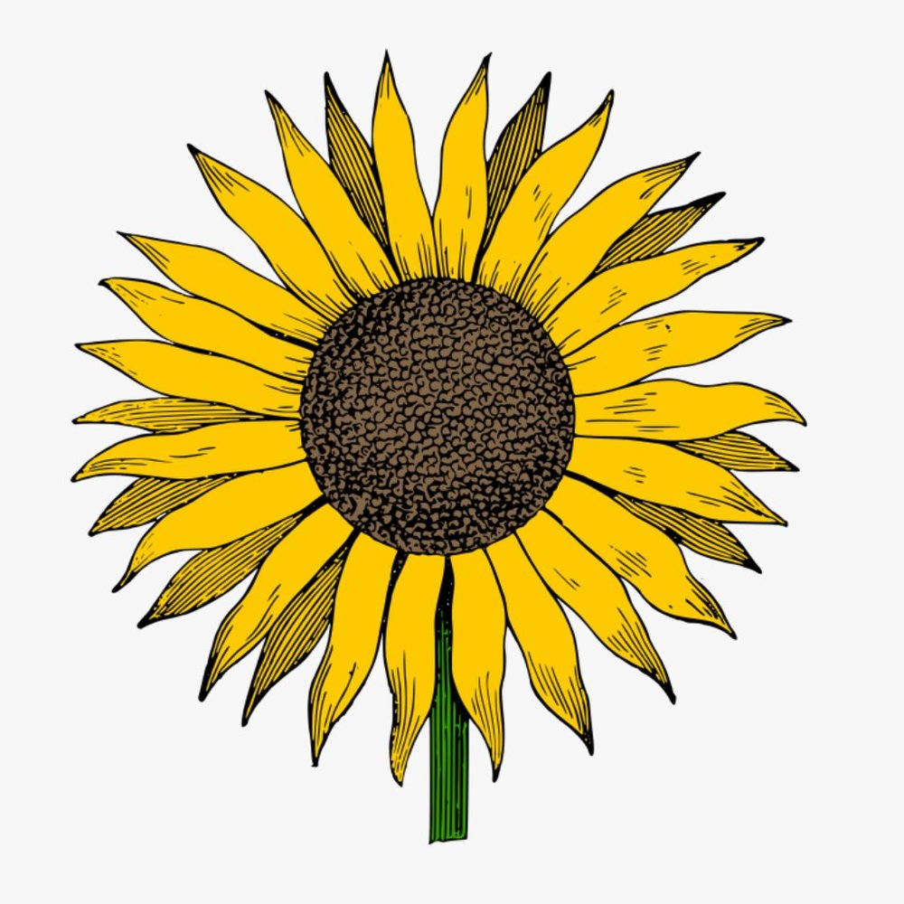 Meet your Posher, Jen